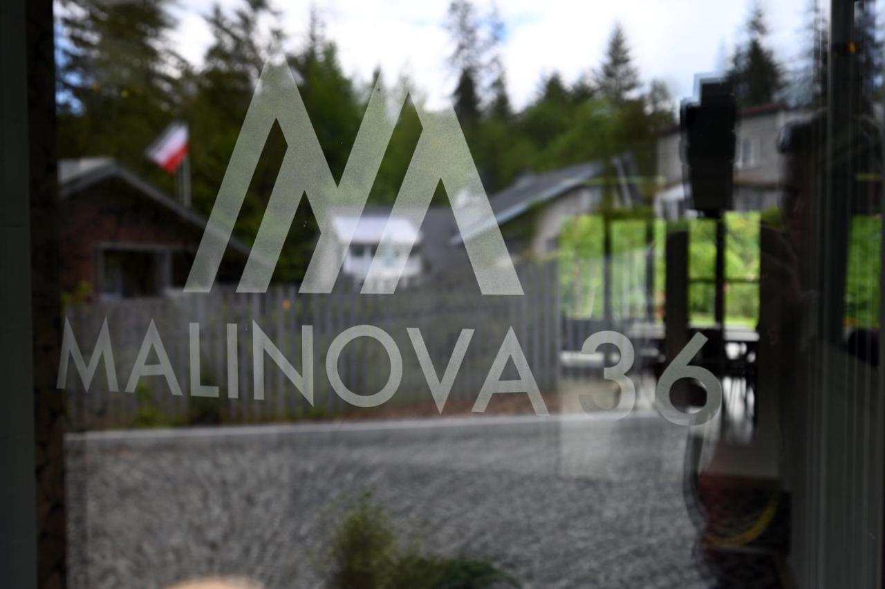 Apartmán Malinova 36 Visla Exteriér fotografie